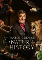 Фантастические твари: Естественная история смотреть онлайн (2022)